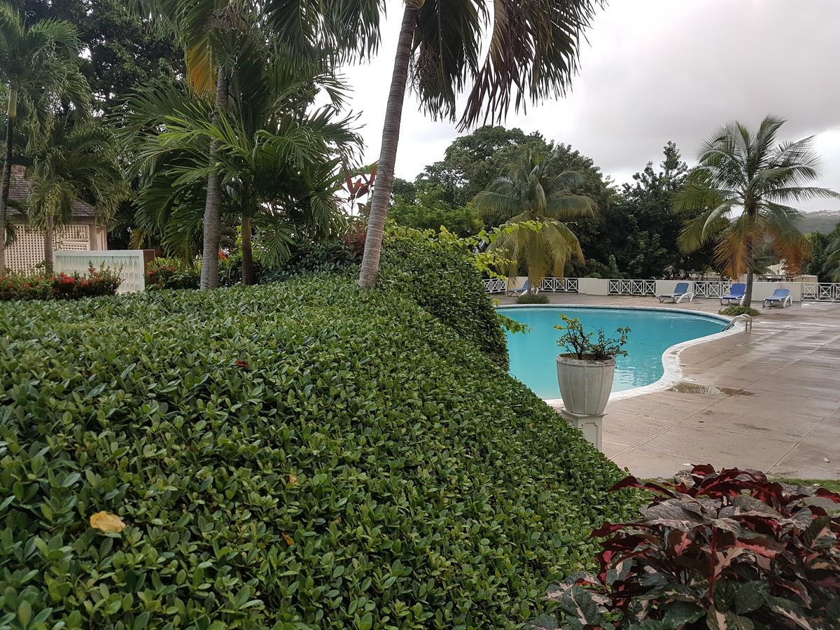 Ferienwohnung Skycastle Oasis Ocho Rios Exterior foto